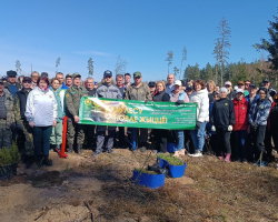 изображение_viber_2025-04-07_09-24-45-736