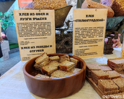 photo_2025-04-10_10-12-19