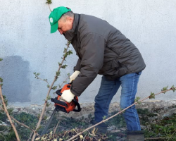 490321654_17957040332926266_957232642818938015_n