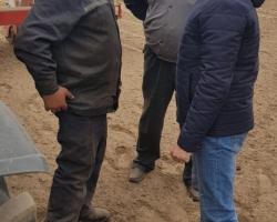 b111f506-db89-4b1a-9198-aa1123267f5a