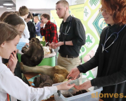 img_4887_novyj-razmer