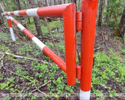 photo_2025-04-30_01-56-34