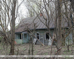 photo_2025-04-30_01-56-37