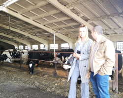 IMG-0562c02ad46aaf9768b8efea70af2f7a-V