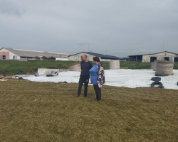 IMG-f8597c4bc6b026d9e02f2d7e1c342c3b-V