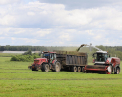 _viber_2025-07-01_16-52-27-404-e1751377997725