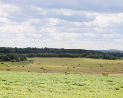 _viber_2025-07-01_16-52-42-449-e1751378037945