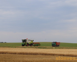 img_7397_novyj-razmer