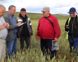 511056922_1397279448083292_4569392542377226775_n