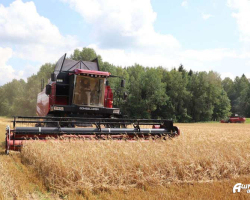 изображение_viber_2025-07-08_16-53-55-136