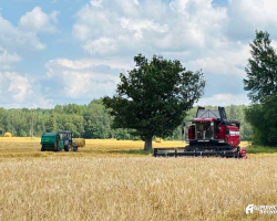 изображение_viber_2025-07-08_16-53-59-038