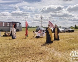 izobrazhenie_viber_2025-07-04_16-28-54-145