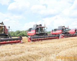 1d0a2383_novyj-razmer