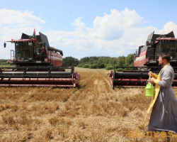 1d0a2414_novyj-razmer