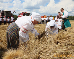 1d0a2428_novyj-razmer