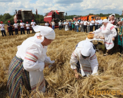 1d0a2432_novyj-razmer