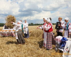 1d0a2454_novyj-razmer (1)