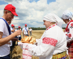 1d0a2523_novyj-razmer