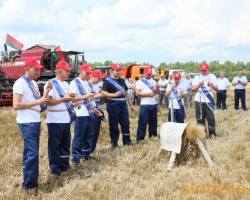 1d0a2532_novyj-razmer