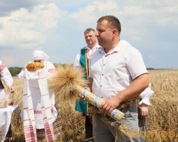 1d0a2574_novyj-razmer