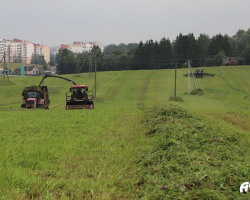 изображение_viber_2025-07-18_16-31-16-769